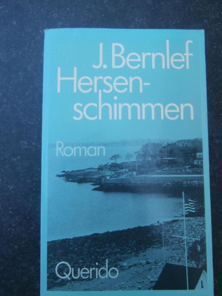 Hersenschimmen J Bernlef, Boeken, Literatuur, Gelezen, Nederland, Ophalen of Verzenden