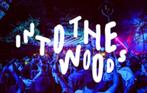 Into the woods - ADE ticket zaterdag (4 stuks), Tickets en Kaartjes, Evenementen en Festivals, Drie personen of meer