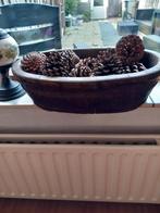 Oude ovale olijfbak 50 bij 30 met dennenappels, Ophalen of Verzenden, Gebruikt, Ovaal, Hout