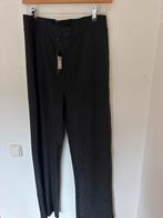 Zwarte Glitter Broek - Nieuw - Maat XXL, Kleding | Dames, Broeken en Pantalons, Zwart, Maat 46/48 (XL) of groter, Nieuw, Ophalen of Verzenden