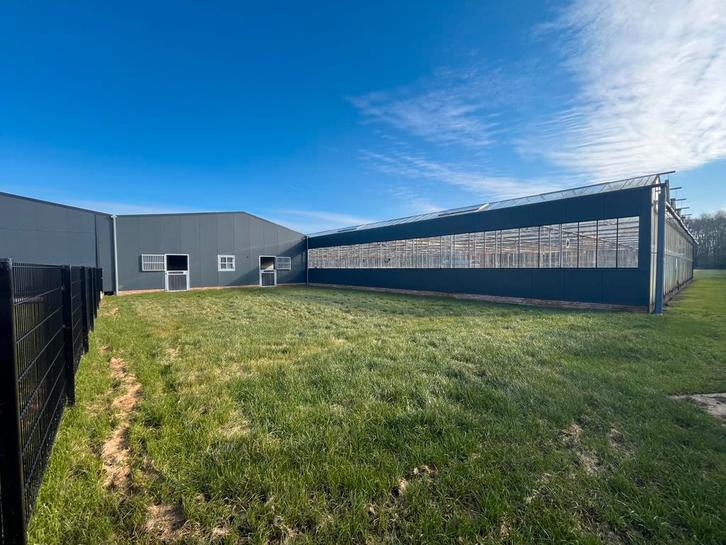 Nieuwe pensionstalling voor paarden op rust, Dieren en Toebehoren, Stalling en Weidegang, Stalling, Weidegang, 4 paarden of pony's of meer