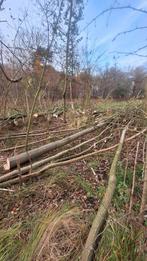 Brand Hout .zaag het opmaat, Minder dan 3 m³, Ophalen