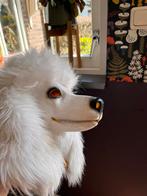 2 maskers hond poedel wolf, Maat 34 (XS) of kleiner, Overige thema's, Ophalen of Verzenden, Zo goed als nieuw