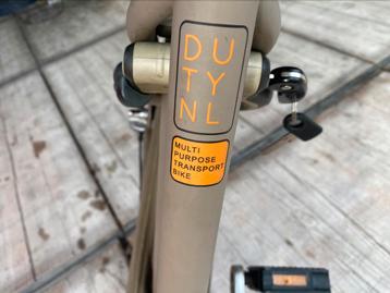 Mooie Gezelle duty NL 28inch 50cm hoogte beschikbaar voor biedingen