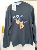 new nieuw zara maat 11 -12 jaar / 152, Nieuw, Ophalen of Verzenden, Shirt of Longsleeve, Zara Boys