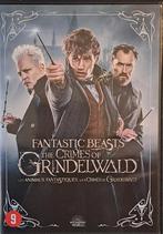 Fantastic Beasts the Crimes of Grindelwald dvd, fantasiefilm, Ophalen of Verzenden, Zo goed als nieuw