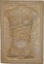 Gips Wanddecoratie - vrouwen torso met Kleding, Ophalen of Verzenden