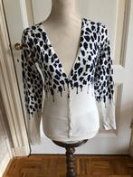 vestje maat M van NED, Maat 38/40 (M), Overige kleuren, Ophalen of Verzenden, Zo goed als nieuw