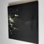 WHITE WARD - FULLITY REPORT - black metal, Ophalen of Verzenden, Zo goed als nieuw