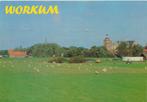 Workum gelopen ansichtkaart ( 76 ), Ophalen of Verzenden, 1980 tot heden, Gelopen, Friesland