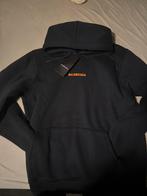Balenciaga hoodie, Kleding | Heren, Truien en Vesten, Balenciaga, Verzenden, Blauw, Maat 56/58 (XL)