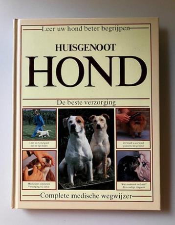 Huisgenoot Hond beschikbaar voor biedingen