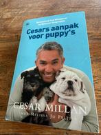 Cesar Millan - Cesars aanpak voor puppy's, Honden, Nieuw, Cesar Millan, Ophalen of Verzenden