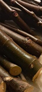 Vijgenstek, stekgoed, entgoed, vijgenstok, Tuin en Terras, Minder dan 100 cm, Volle zon, In pot, Ophalen of Verzenden