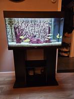 Juwel Rio 125 LED Aquarium - ZWART- 125L - 80 x 35 x 50 cm, Dieren en Toebehoren, Vissen | Aquaria en Toebehoren, Ophalen, Gebruikt