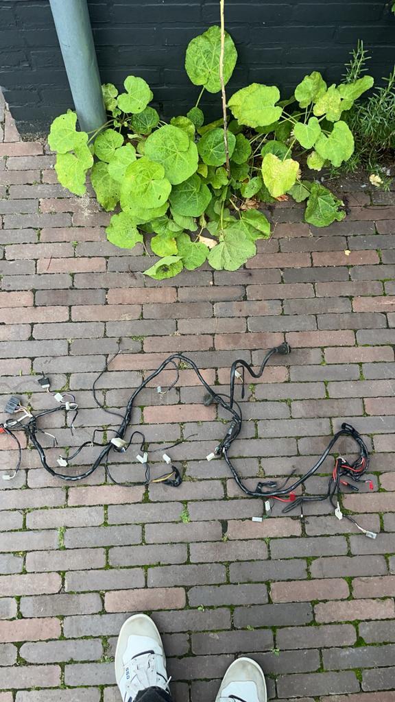 Type 3 kabelboom!, Tuin en Terras, Tuinwanddecoratie, Zo goed als nieuw, Ophalen of Verzenden