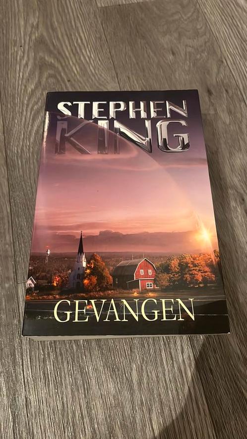 Stephen King - Gevangen, Boeken, Thrillers, Gelezen, Ophalen