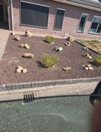 Lava, Tuin en Terras, Grind, Keien en Split, Ophalen of Verzenden, Nieuw