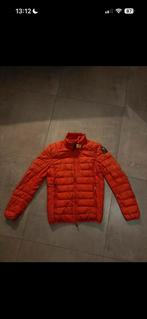 Parajumpers jas maat xs, Ophalen of Verzenden, Gedragen, Maat 46 (S) of kleiner, Parajumpers