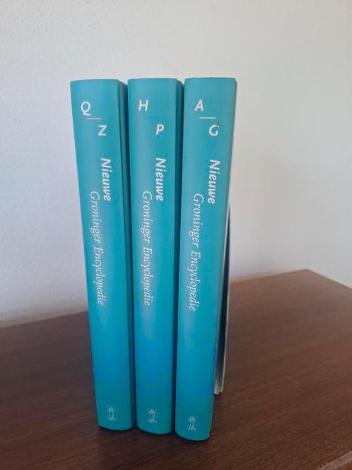 Zgan Nieuw Groninger encyclopedie 3 delen, Boeken, Woordenboeken, Zo goed als nieuw, Nederlands, Ophalen of Verzenden
