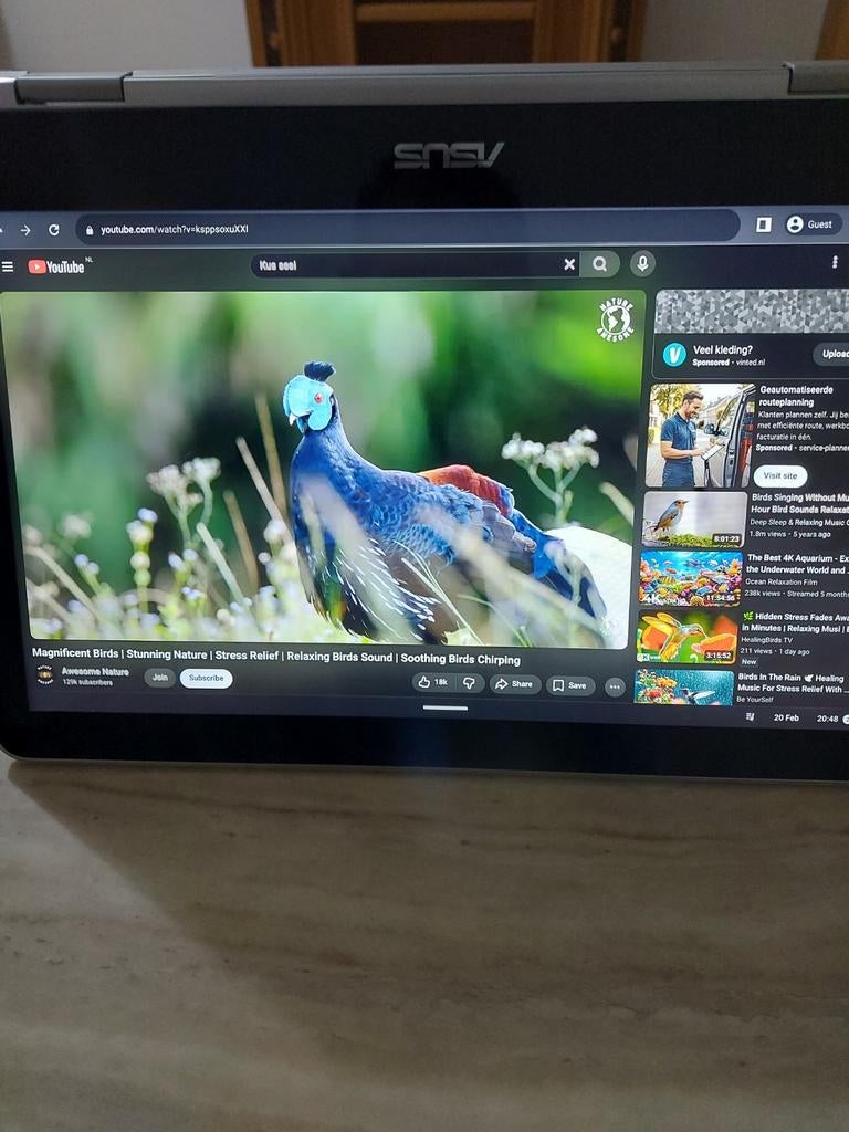 Asus Chromebook Flip C302C, Overige merken, 50 Hz, Ophalen of Verzenden, Zo goed als nieuw