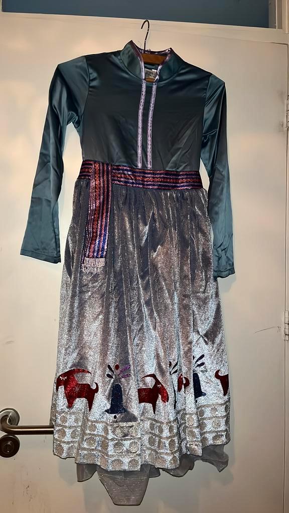 Frozen jurk Elsa Disney land., Kleding | Dames, Carnavalskleding en Feestkleding, Nieuw, Kleding, Carnaval, Maat 34 (XS) of kleiner