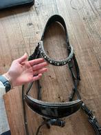 Monere equestrian hoofdstel maat full (niet schoon gemaakt!), Dieren en Toebehoren, Ophalen of Verzenden, Zo goed als nieuw, Dressuur