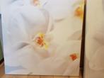 3x canvas met magnolia’s, Ophalen, Minder dan 50 cm, 50 tot 75 cm, Zo goed als nieuw