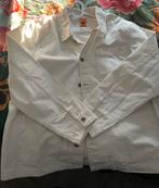 Timberland vest, Kleding | Heren, Ophalen of Verzenden, Zo goed als nieuw, Overige maten