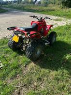 Quad met kenteken 250cc, Ophalen, 250 cc, Gebruikt, Overige typen