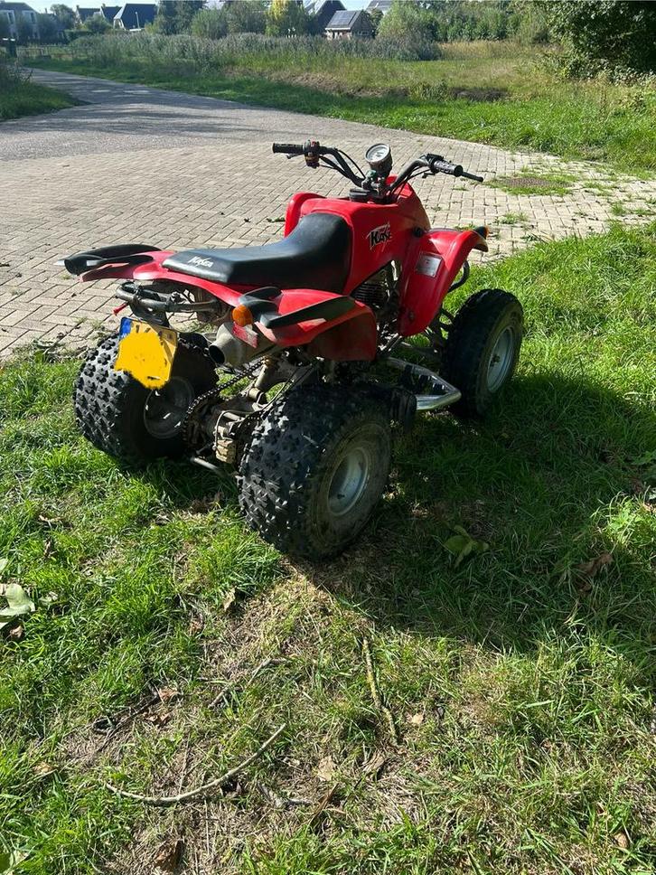 Quad met kenteken 250cc, Fietsen en Brommers, Minibikes, Midibikes en Pitbikes, Gebruikt, Overige typen, Ophalen