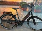 ❗️Gazelle Ultimate C5 Belt Performance 53 cm 500Wh  ZGAN❗️