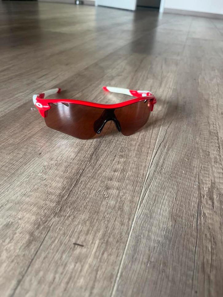 Oakley Radar Zonnebril, Kleding | Heren, Schoenen, Gedragen, Overige typen, Overige kleuren, Ophalen of Verzenden