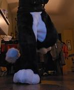 Fursuit legs+feetpaws+tail, Ophalen of Verzenden, Zo goed als nieuw, Onderkleding