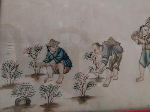 Originele aquarel 19 eeuws Chinese thee-planters.., Antiek en Kunst, Kunst | Niet-Westerse kunst, Ophalen of Verzenden