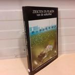 Nr. 684 Ziekten en plagen van de suikerbiet., Ophalen of Verzenden, Gelezen, Diverse auteurs