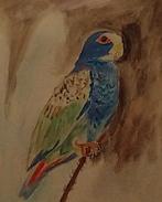 Aquarel, Ophalen of Verzenden