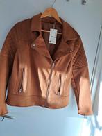 Mooie cognac bruine suède look bikerjas, Ophalen of Verzenden, Bruin, Zo goed als nieuw, Maat 46/48 (XL) of groter