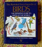The illustrated Encyclopaedia od BIRDS (Perrins), Boeken, Dieren en Huisdieren, Ophalen of Verzenden, Vogels, Zo goed als nieuw