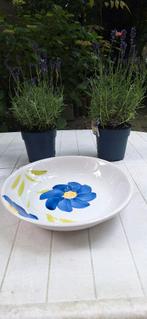 Italiaanse vintage porseleine pasta schalen, Ophalen of Verzenden