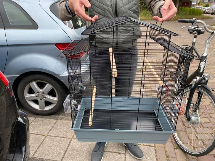 Parkieten/kleine papegaaien kooi zwart, Dieren en Toebehoren, Vogels | Hokken en Kooien, Zo goed als nieuw, Vogelkooi, Metaal