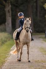 Kinderpony te koop!, Dieren en Toebehoren, B, C pony (1.27m tot 1.37m), 11 jaar of ouder, Recreatiepony