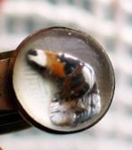 Victoriaans klem clip essex crystal hond reversed carved, Verzenden, Overige materialen, Overige typen, Verguld