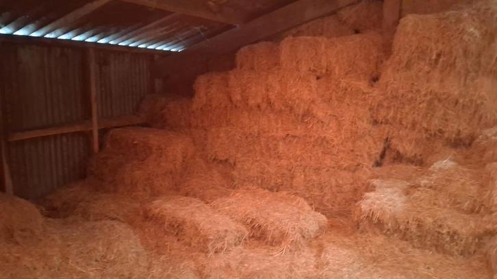 Hooi kleine pakjes, meer dan 200 stuks, Dieren en Toebehoren, Dierenvoeding, Vee, Ophalen