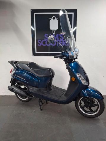 Sym Fiddle ll | 3638km | 2018 beschikbaar voor biedingen