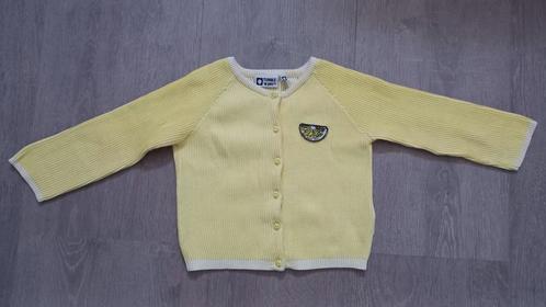 Vestje Tumble n Dry draagmaat 98, Kinderen en Baby's, Kinderkleding | Maat 98, Zo goed als nieuw, Meisje, Trui of Vest, Ophalen of Verzenden