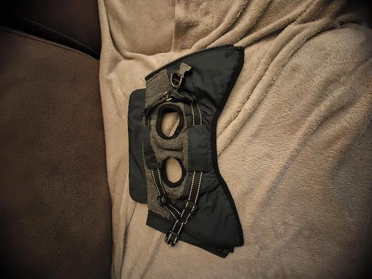 honden jas voor chihuahua, Dieren en Toebehoren, Honden-accessoires, Zo goed als nieuw, Ophalen of Verzenden