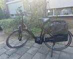 Pegasus Ravenna e-bike, Fietsen en Brommers, Elektrische fietsen, Gebruikt, 47 tot 51 cm, 30 tot 50 km per accu, Ophalen