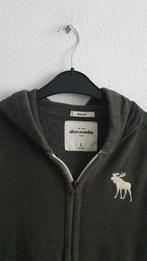 Abercrombie Kids Hoodie Maat 164, Ophalen of Verzenden, Zo goed als nieuw, Abercrombie Kids, Jongen of Meisje