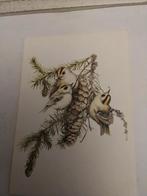 MARJOLEIN. BASTIN. GOUDHAANTJES. BIJ SPARREBOOM, Ophalen of Verzenden